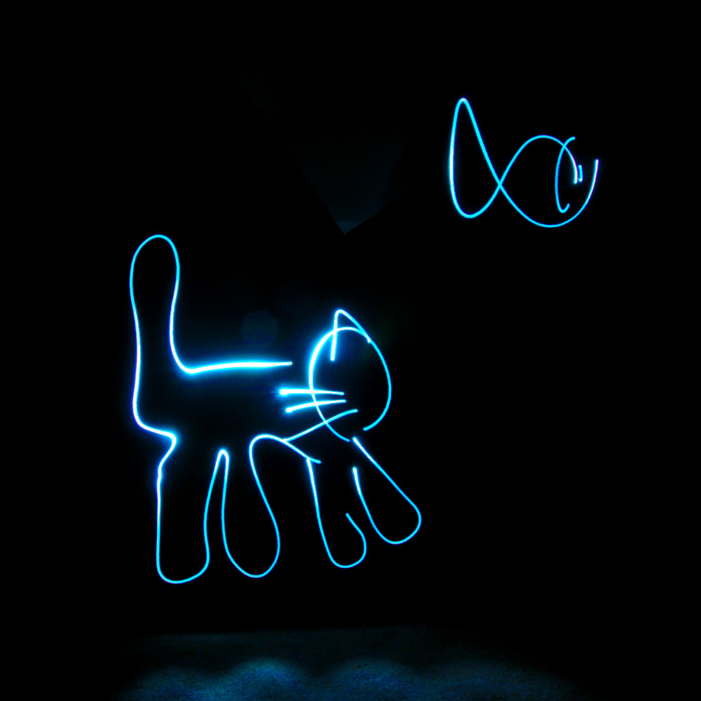Poisson et chat fait en light painting