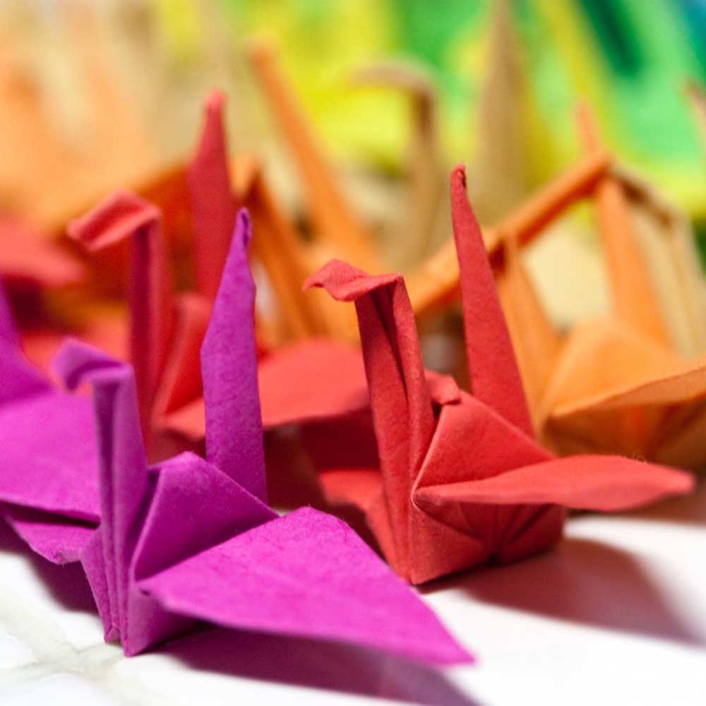 Origami- Grue