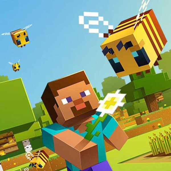 minecraft boy with bees